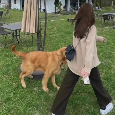 与自然告别